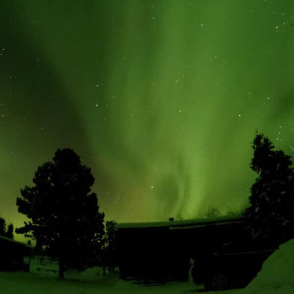 dog sledding tours whitehorse