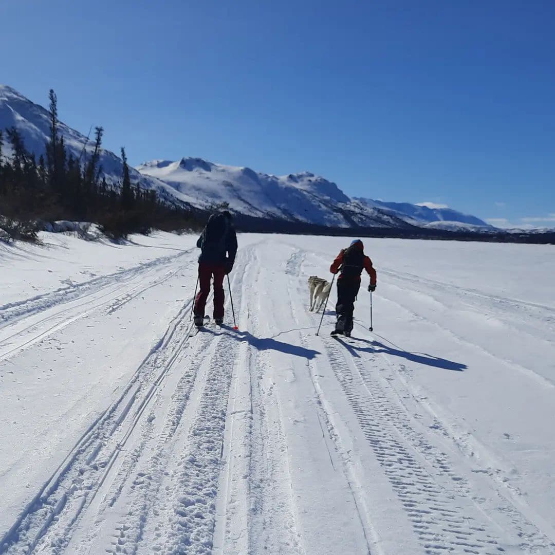 X-country ski day trips in Whitehorse Yukon – The Call of the Yukon