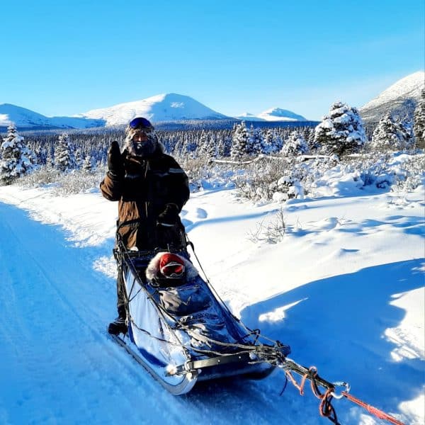 DOG SLEDDING WHITEHORSE YUKON